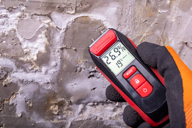 Best Emergency Mold Removal  in Burbank, WA
