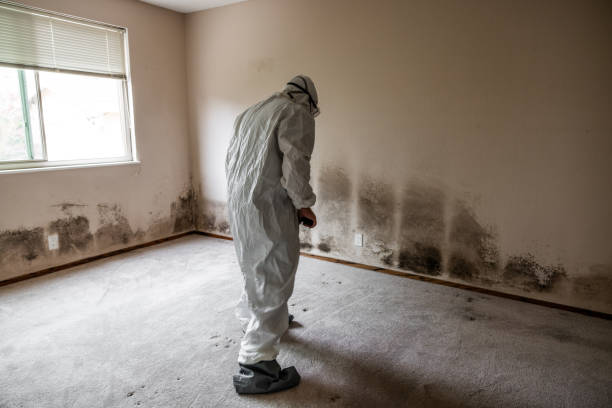 Best Mold Testing  in Burbank, WA